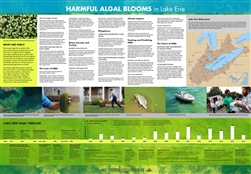 Harmful Algal Blooms in Lake Erie (FREE)